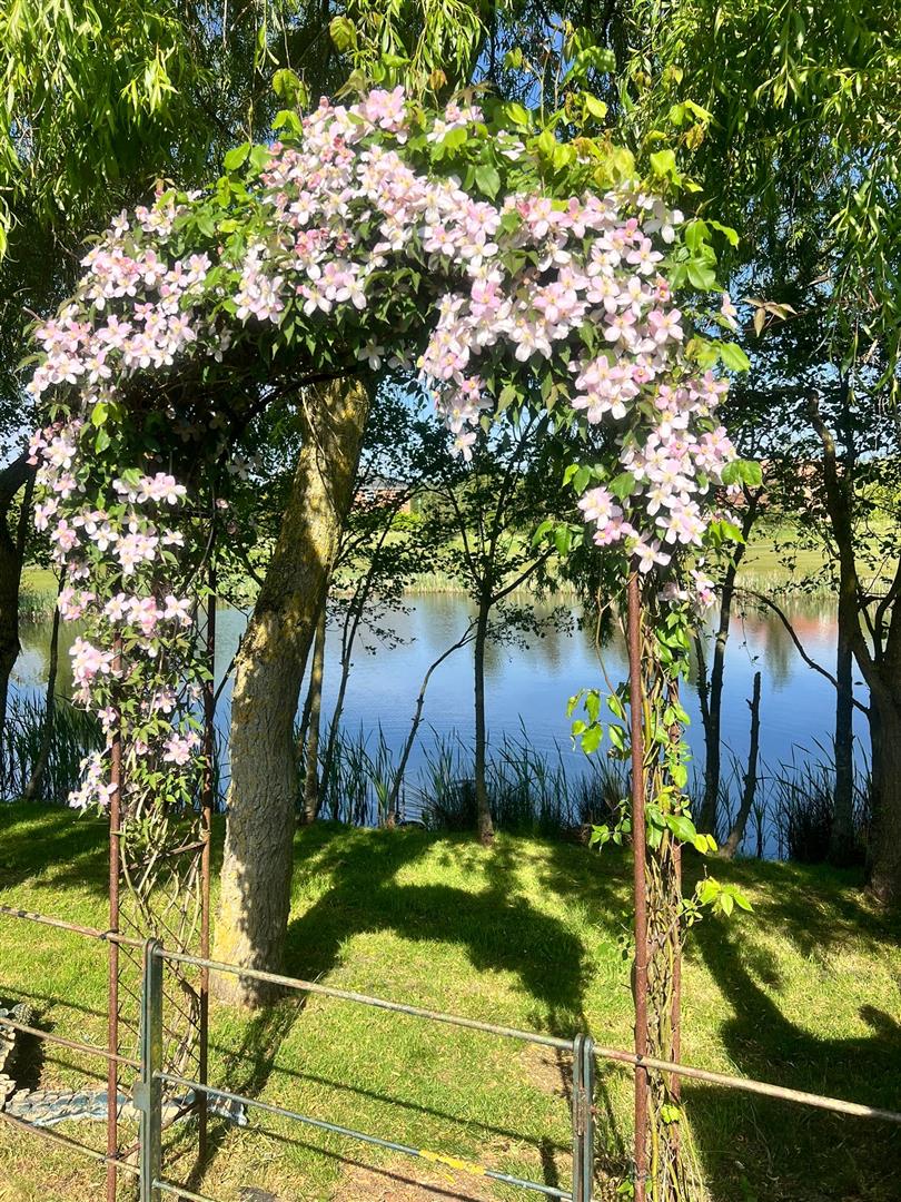Rear Garden View